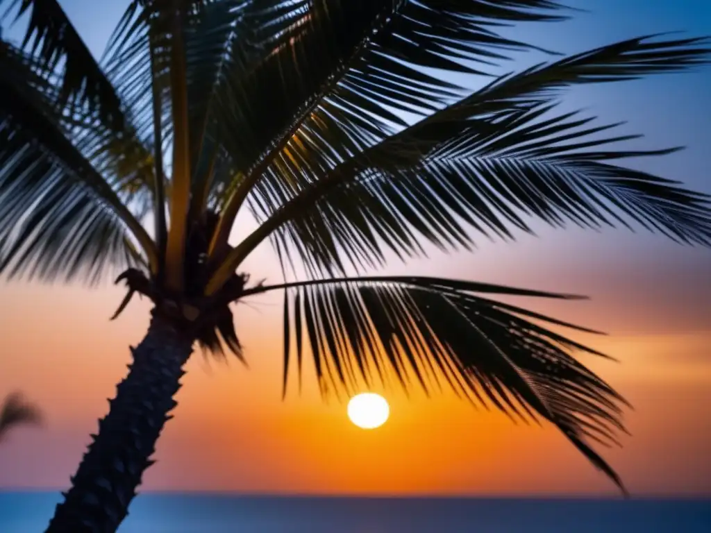 A poetic image of nature's resilience: a palm tree swaying in the wind, casting an orange glow as the sun sets in the background